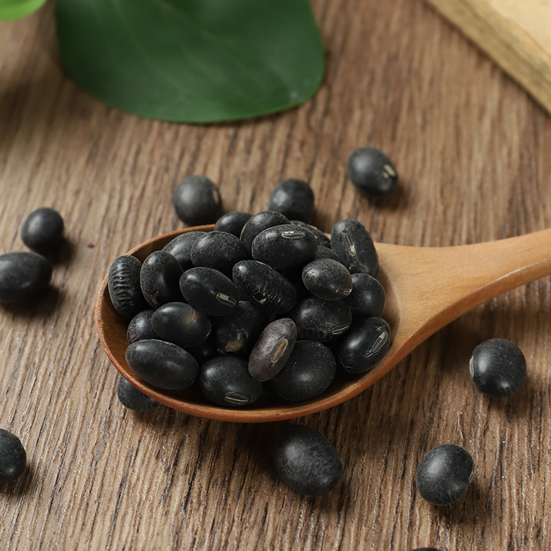 新货黑豆500g东北青仁绿心小黑豆农家自产新货五谷杂粮豆