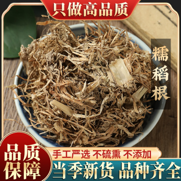 新货糯稻根中药材500g克包邮精选优质糯稻糯谷根糯稻草根