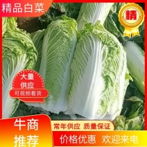 白菜杠2北京3号可根据老板全国发货产地供货