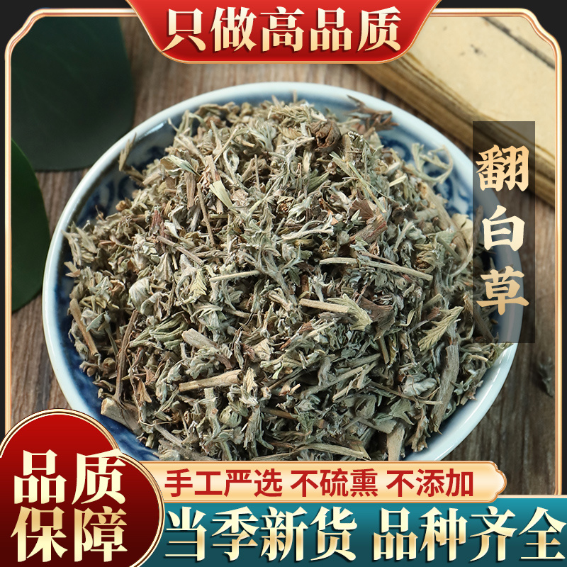 天然翻白草500g包邮新鲜野生整颗带根可搭配地骨皮翻白草