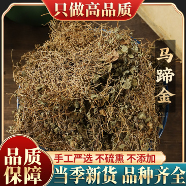 新货马蹄金500g克包邮小金钱草小马蹄草小铜钱草