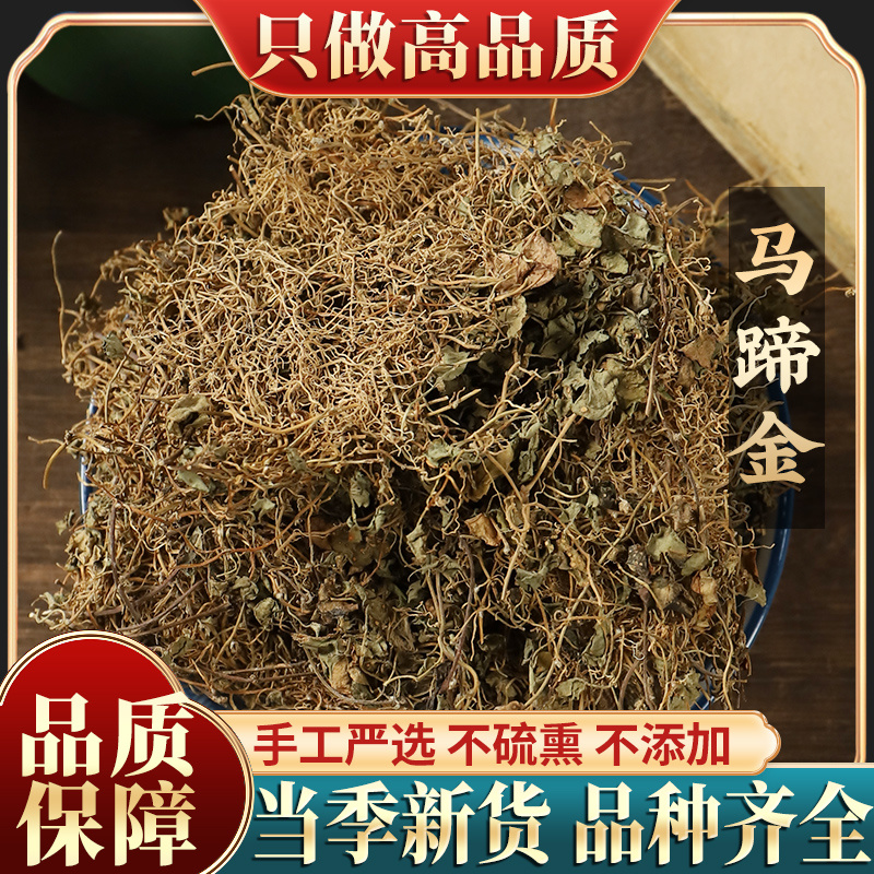 新货马蹄金500g克包邮小金钱草小马蹄草小铜钱草