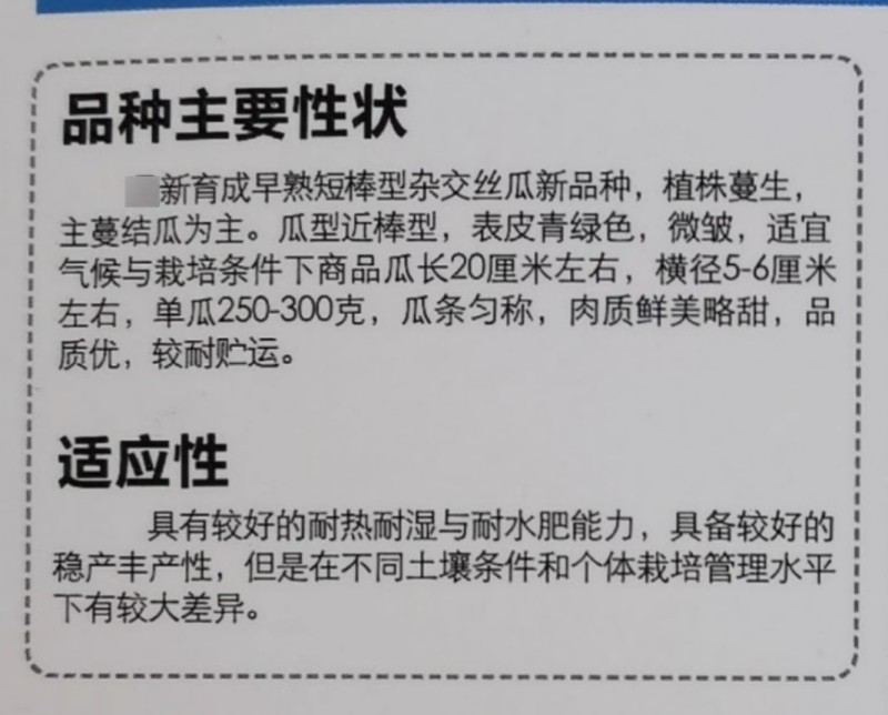 短棒型丝瓜种子翠丝101丝瓜籽欧兰德杂交早熟高产短肉丝瓜