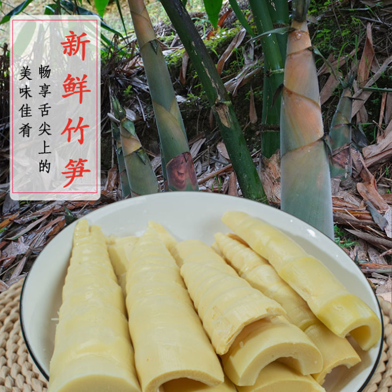 新鲜脆笋尖竹笋麻竹笋脆嫩爽口炒腊肉五花肉袋装350克