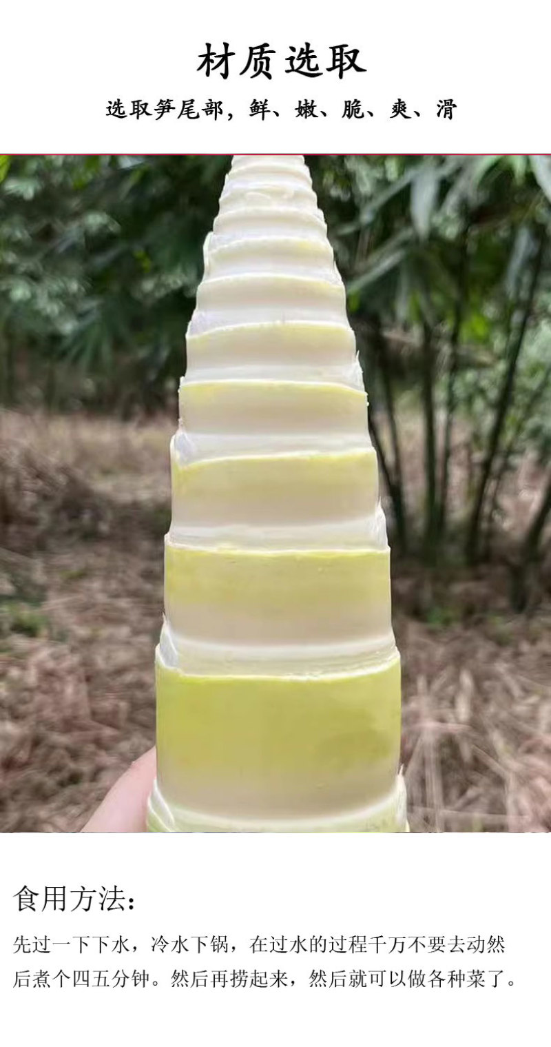 新鲜脆笋尖竹笋麻竹笋脆嫩爽口炒腊肉五花肉袋装350克