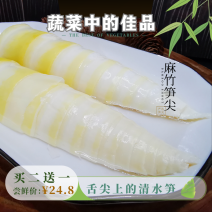 新鲜脆笋尖竹笋麻竹笋脆嫩爽口炒腊肉五花肉袋装350克