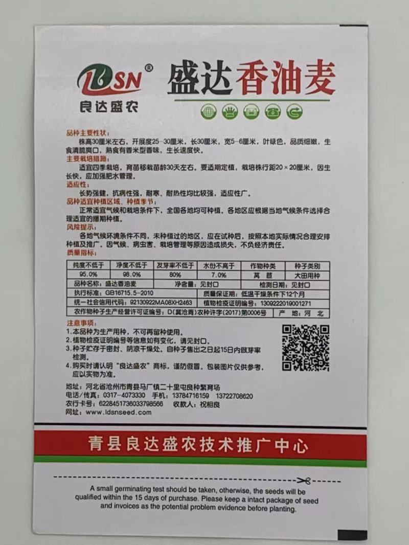 盛达香油麦菜种子四季种植质嫩爽口质地脆嫩味道清香适应性广