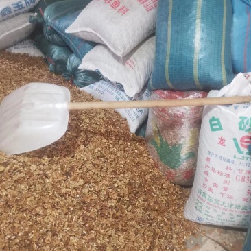 云南核桃仁，榨油必备，大量现货，欢迎进店选购