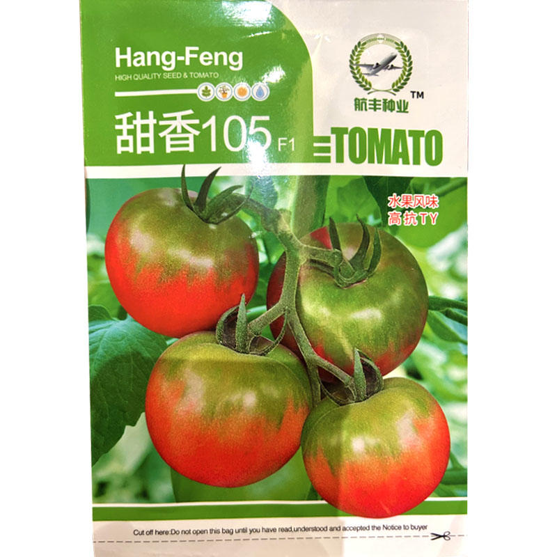 草莓番茄种子铁皮柿子粉果早熟抗TY坐果强甜香105