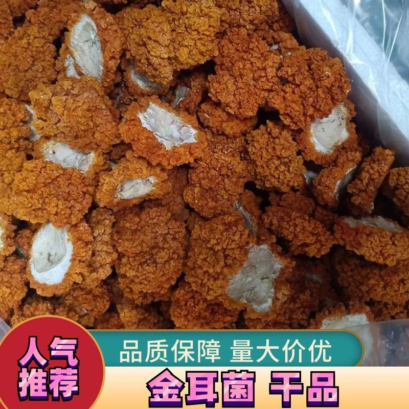 湖南长沙金耳菌，干品，鲜品，金耳菌包，厂家直供货源充足