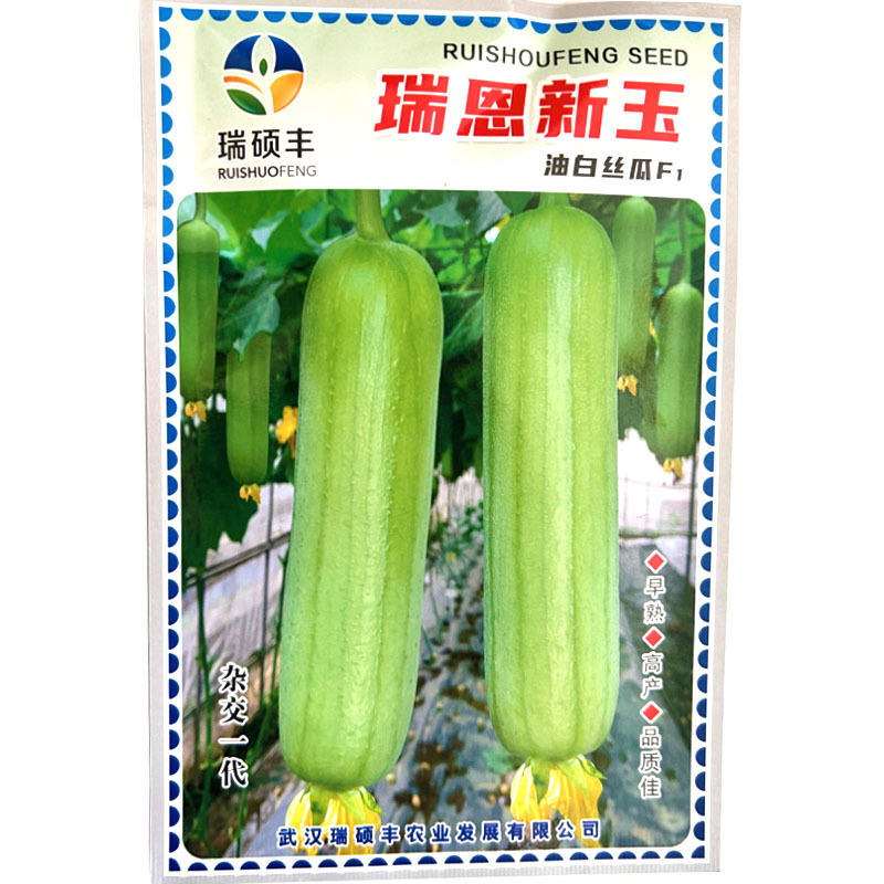 油白丝瓜种子油亮中熟连续坐果果肉紧实基地品种