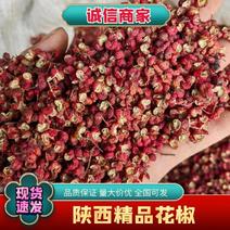 【热卖中】陕西万亩大红袍花椒开口率高无杂质可对接商超加工厂