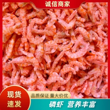 山东滨州无盐干货磷虾南极磷虾一手货源质量保证欢迎来电