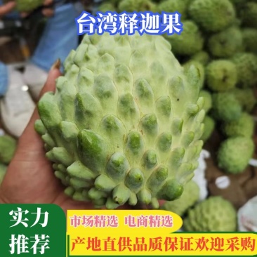 正宗云南高山释迦果产地代收代发品质保证价格低