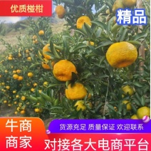 云南玉溪元江碰柑开始上市发货了