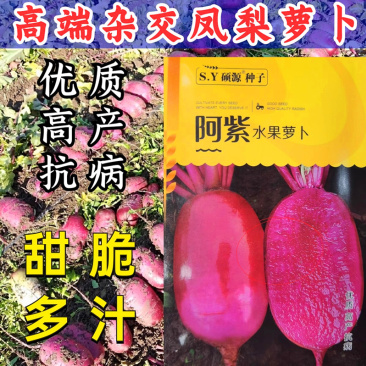 凤梨水果萝卜种子，杂交凤梨萝卜种子，甜脆多汁，红皮红肉