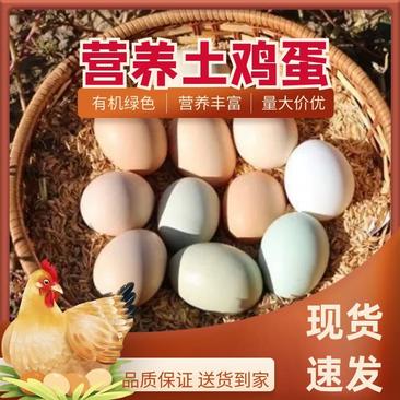 【土鸡蛋】农家散养鸡蛋初生蛋市场批发电商平台一件代发
