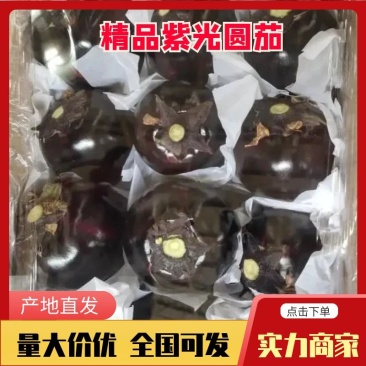 【热销】紫光圆茄基地直发可对接商超市场欢迎实地考察