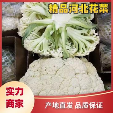 【全年供应】有机花菜小米松花品质保证可对接商超市场