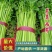 河北芹菜精品西芹产地批发稳定货源保质保量欢迎电联