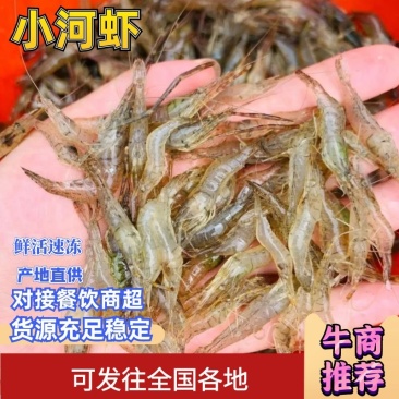 鲜活速冻小河虾青虾冷冻淡水虾规格齐全可定制包装
