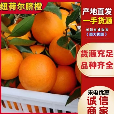 湖南湘西精品纽荷尔脐橙~大量上市中好货不容错过价格实惠