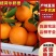 湖南湘西精品纽荷尔脐橙~大量上市中好货不容错过价格实惠