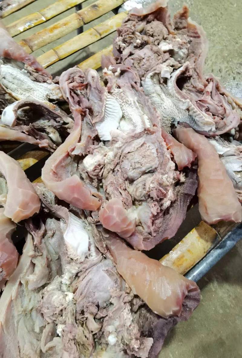 【牛头肉】厂家直销品质好可视频看货可实地考察诚信经营