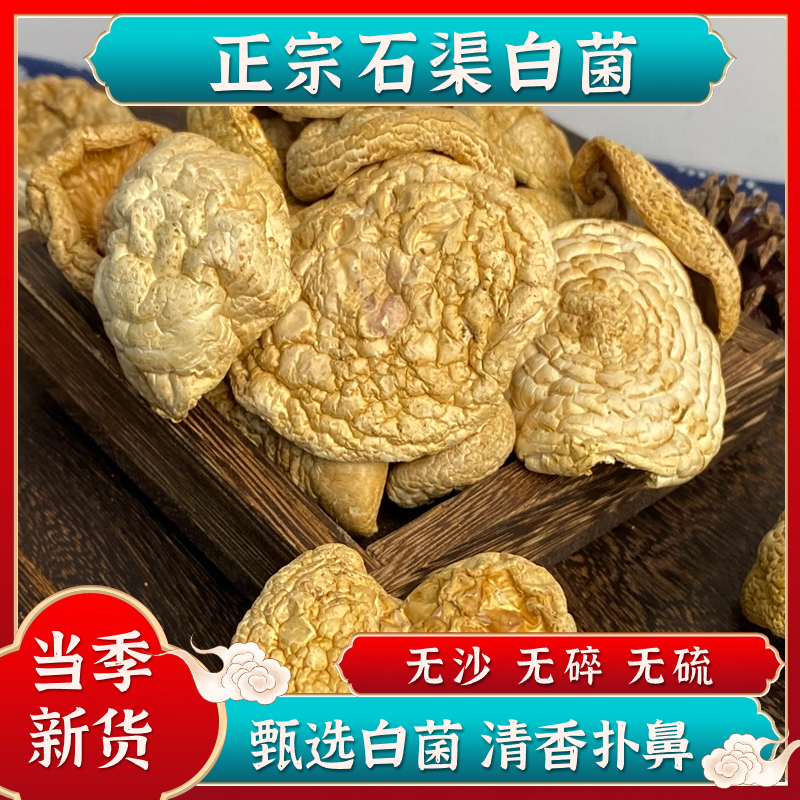 【四川甘孜高原】石渠白菌