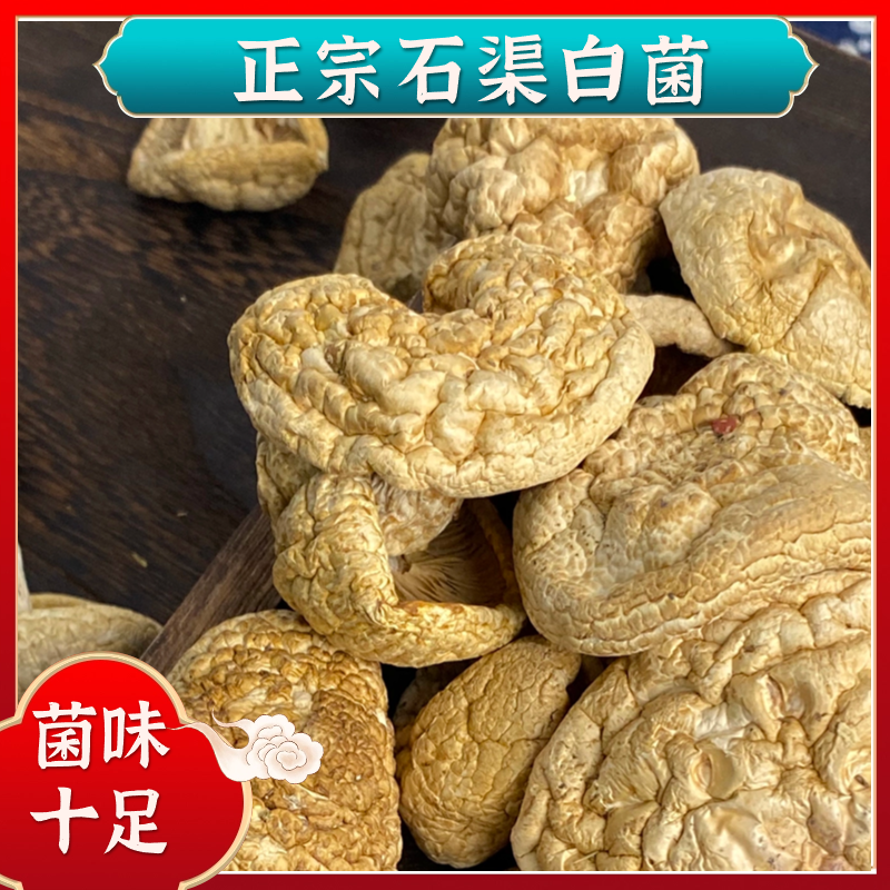 【四川甘孜高原】石渠白菌