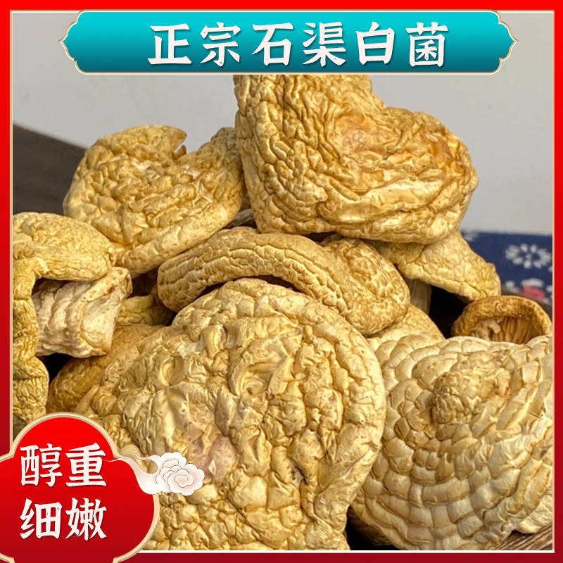 【四川甘孜高原】石渠白菌