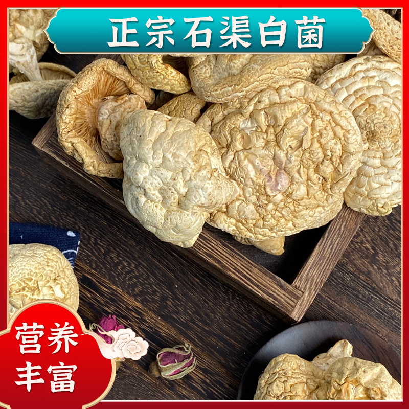 【四川甘孜高原】石渠白菌