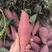 西瓜红优质红薯产地直发价格优惠保质保量欢迎咨询