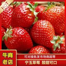 泗县宁玉草莓大量上市产地发货欢迎咨询，实地洽谈合作