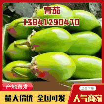 【精品茄子】青茄辽宁海城产地直供高温暖棚全国市场来电