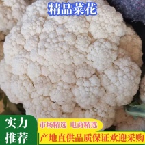 花菜鲜花菜白面青梗散花花菜市场货电商货多多