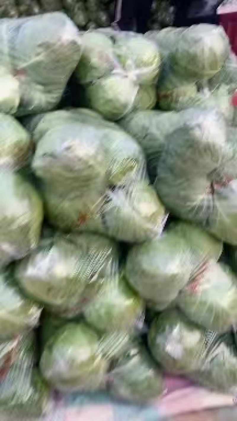 产地直销精品甘蓝可视频看货质量有保障欢迎咨询