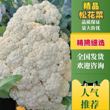 【牛商推荐】菜花1斤紧密乳白可对接商超团购量大从优