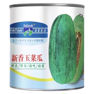 新香玉菜瓜种子香瓜酥脆优质菜瓜种子炒菜脆瓜腌制菜瓜种子