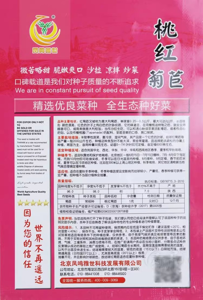 金玉兰菜种子软化菊苣种子种籽孑金玉兰菜种根菜种菜苗