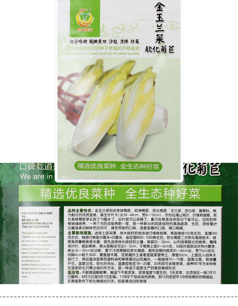 金玉兰菜种子软化菊苣种子种籽孑金玉兰菜种根菜种菜苗