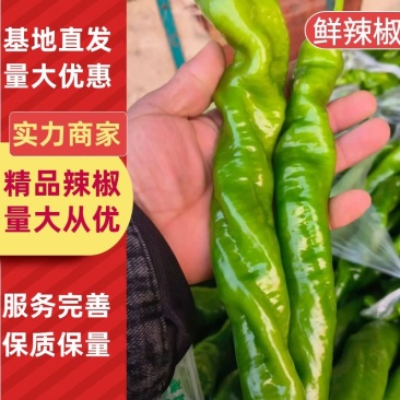鲜辣椒，品种齐全，货源充足，全国发货量大优惠