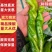 鲜辣椒，品种齐全，货源充足，全国发货量大优惠