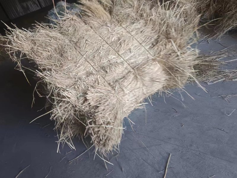 制沙草大量现货产地直发保质保量欢迎致电
