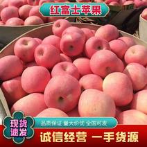 红富士苹果膜袋红富士苹果产地批发货源充足