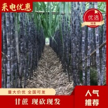 广东翁源黑皮甘蔗品质优美价格实惠产地直发可视频看货