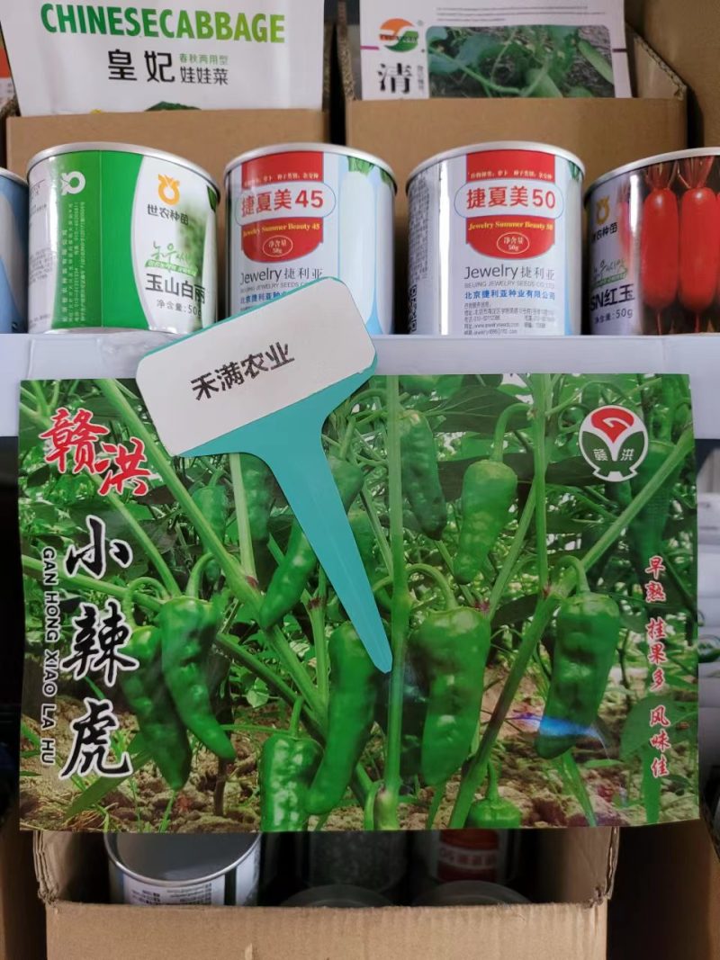 江西特色小邹皮辣椒小虎辣种籽辣椒种籽大全小米辣椒种孑