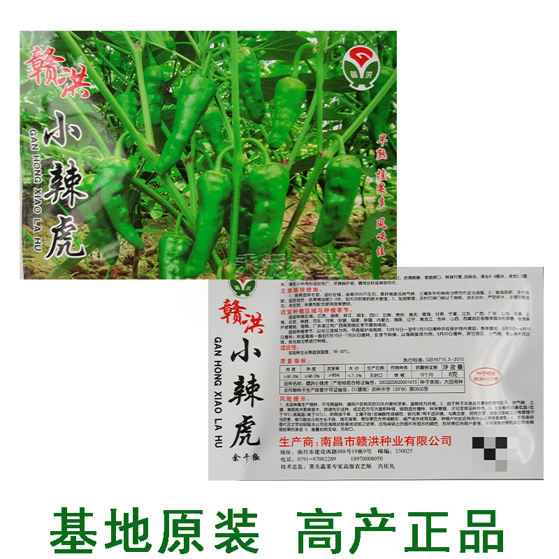 江西特色小邹皮辣椒小虎辣种籽辣椒种籽大全小米辣椒种孑