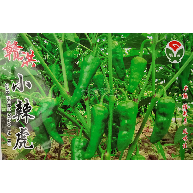 江西特色小邹皮辣椒小虎辣种籽辣椒种籽大全小米辣椒种孑