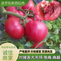 【西红柿】陕西普罗旺斯西红柿产地直发自然成熟一件